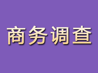 芮城商务调查